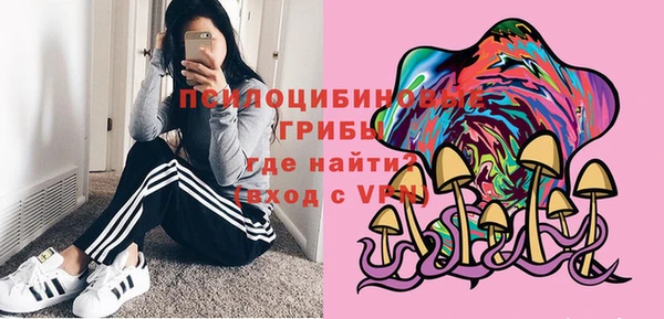 МДПВ Алексин