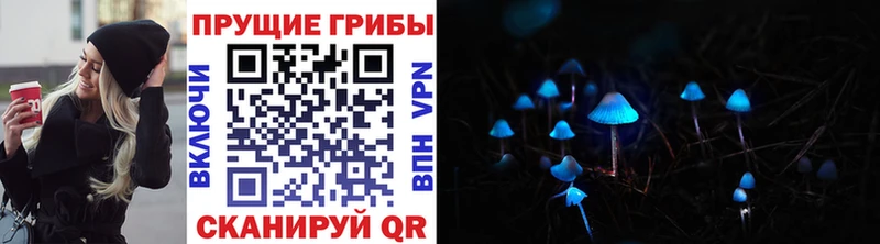 Галлюциногенные грибы Psilocybe  mega зеркало  Олонец  что такое наркотик 